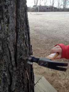 hammering in spiggot