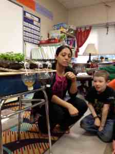 observing different runoff