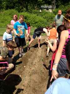 grade 1 and 6 plant potatoes