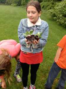 planting squash 3 sisters