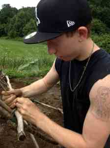 Crew member, David, lashing saplings.