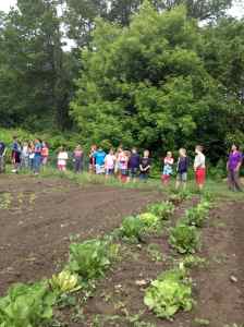 Getting ready to harvest