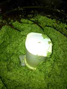 scapes with olive oil and salt