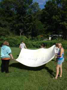 tarp for shade house