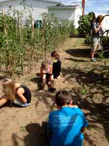 poetry writing in the garden