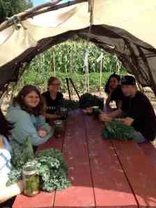 Teens Leave with Kale and Pickles