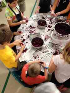 beet peelers multi-age