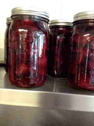 beets processed and ready to eat