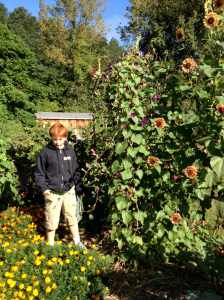 checking out the butterfly garden