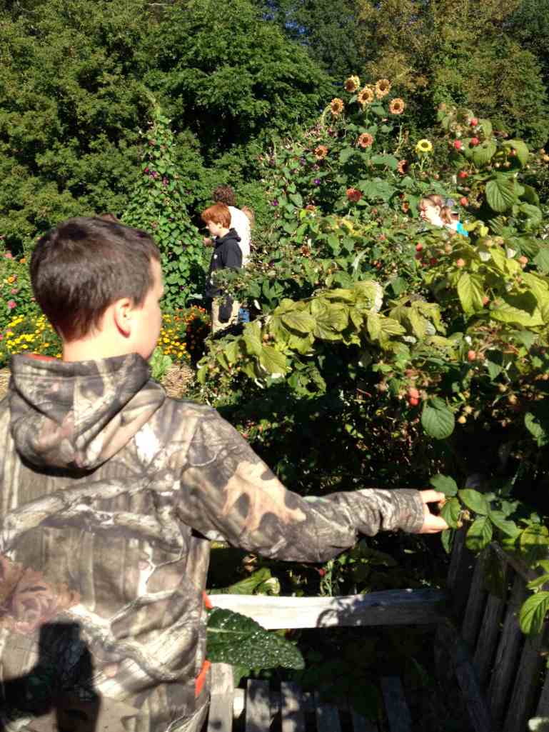 Using all of their senses to explore and remember.