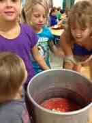 toamoes and onions in pot