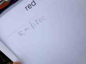 another way to write raspberry