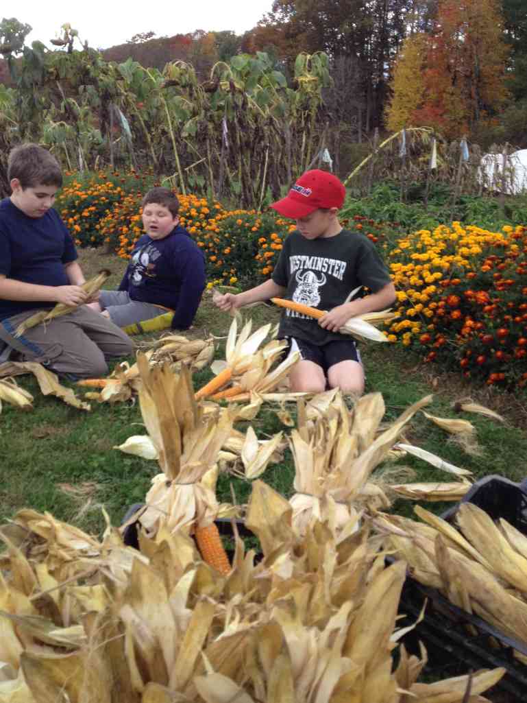 Great harvest this year!