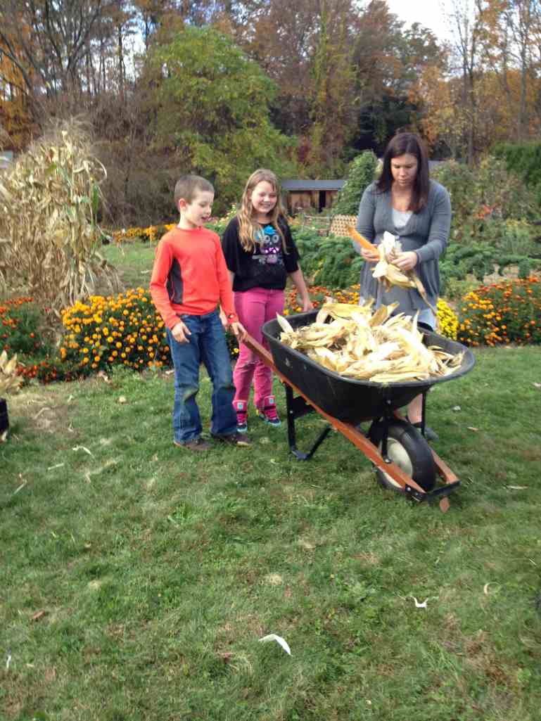 wheeling husks to the compost