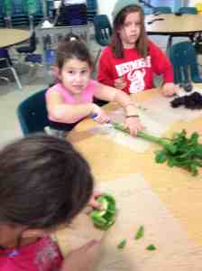 cutting celery: Watch what you're doing!