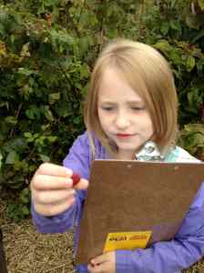 looking closely at a rspberry