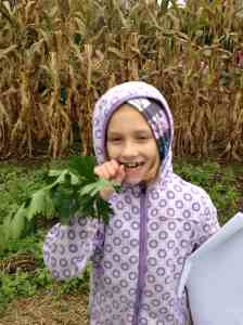 Nola crunching celery