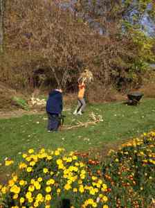 organized team effort