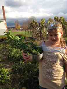 queen of the harvest