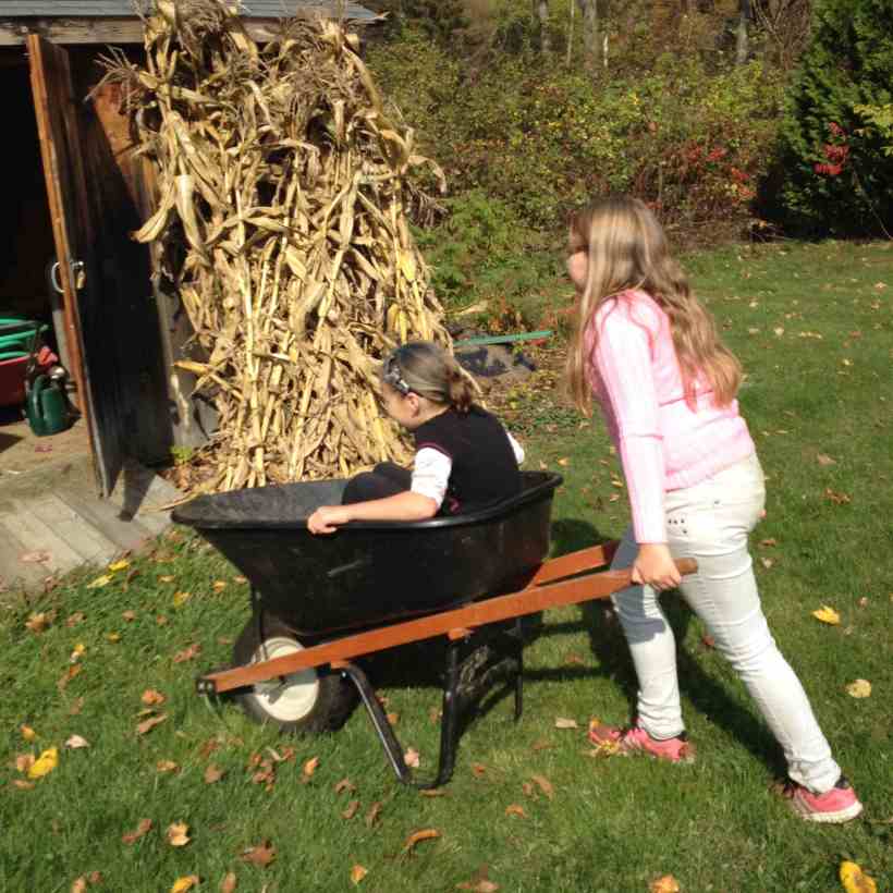 stalks stacked and ready