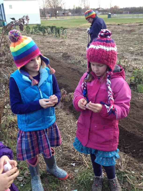 friends working together