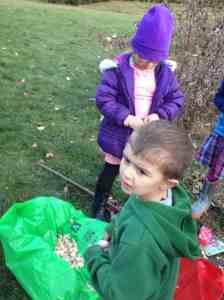 Sabin separating cloves