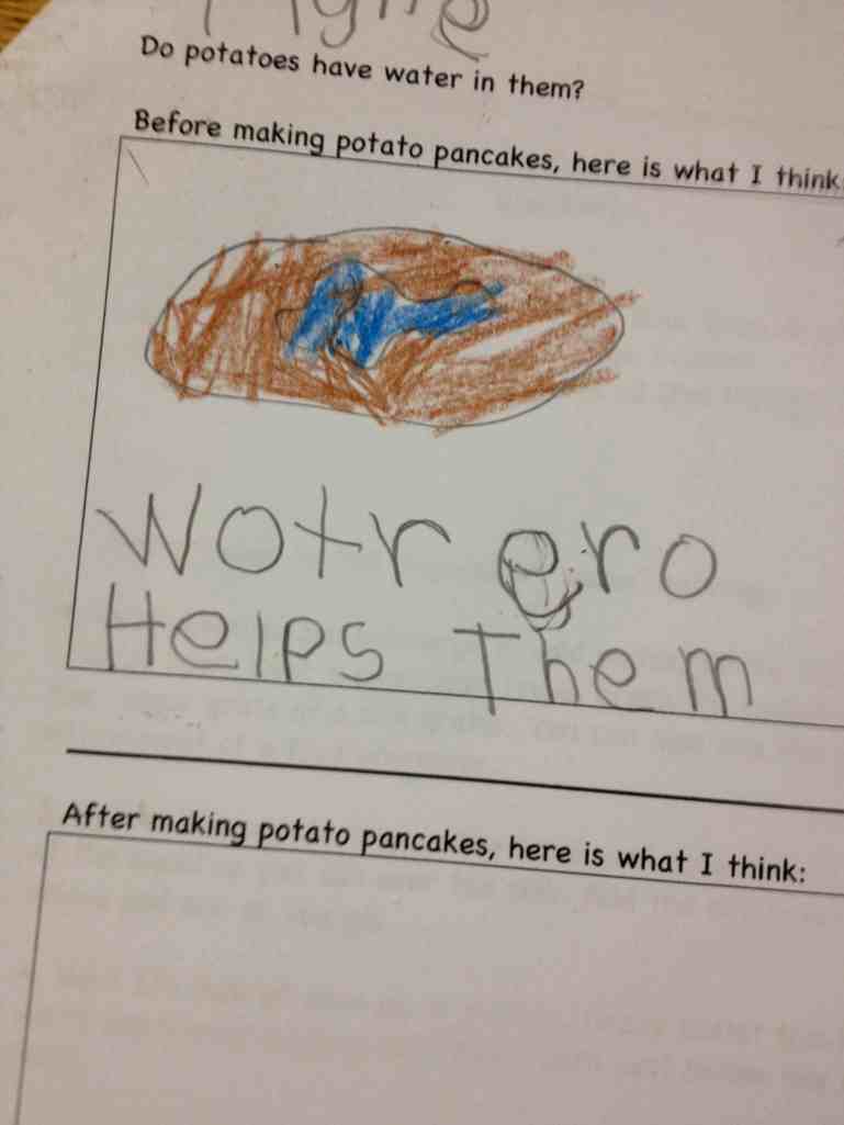 response potato questons