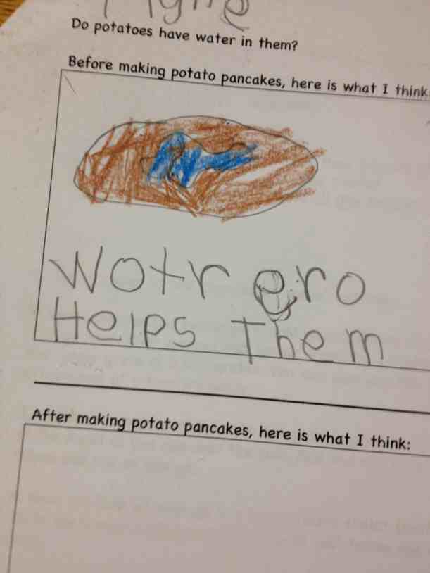 response potato questons