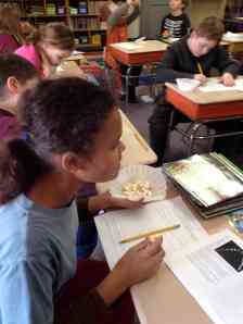 tasting and describing