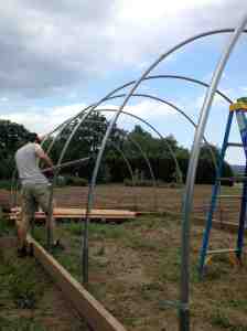 Hoop House construction continued
