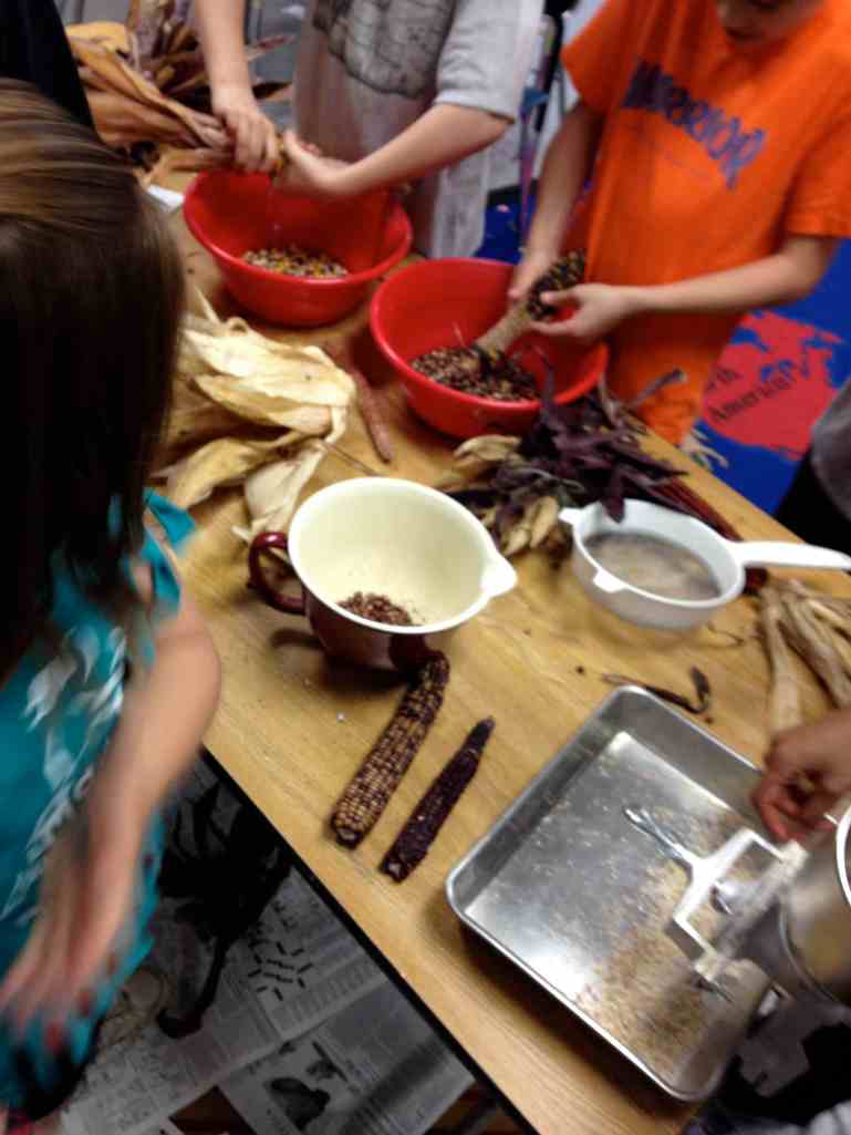 removing kernels from cobs