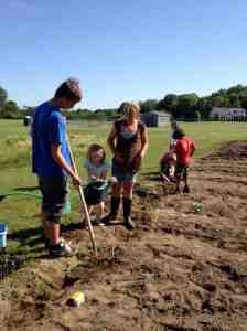 ASP plants marigold border