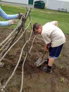 Getting the cucumber trellises ready