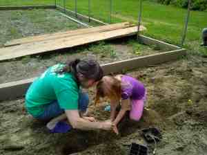 K planting sunflowers