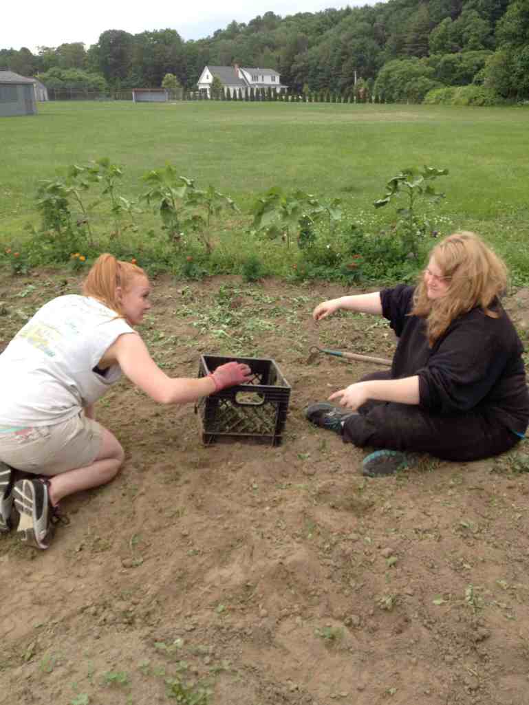 getting out those weeds