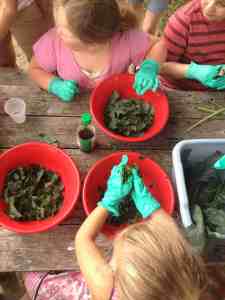 breaking down fibers