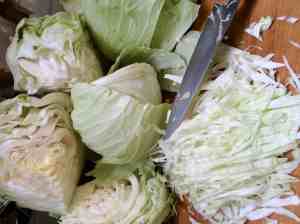 Giant Cabbage into sour kraut