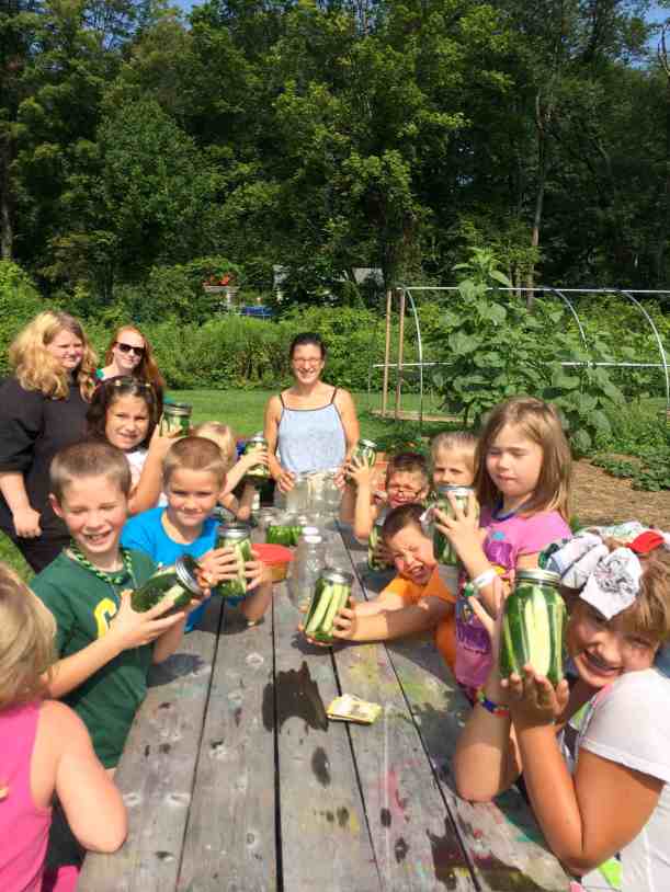 Pickles ready to ferment