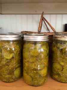 Processed Bread and Butter Pickles