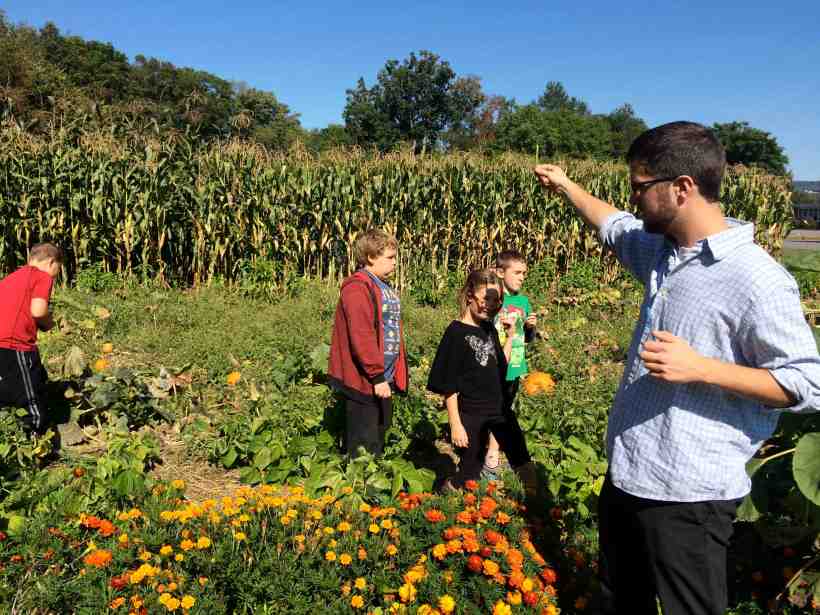 Mr. McCafferky: "Check out this bean!