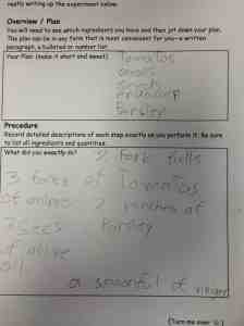 experiment writeup 2