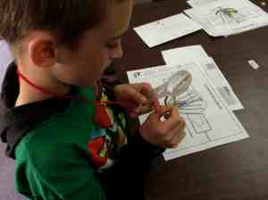 looking at a young bean