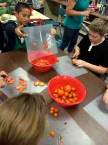 slicing tomatoes