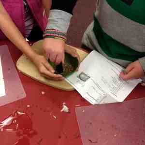 grinding coriander seeds