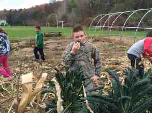 kale will keep growing through November