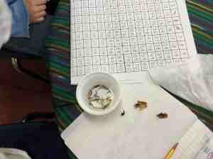 irst grade mathematicians