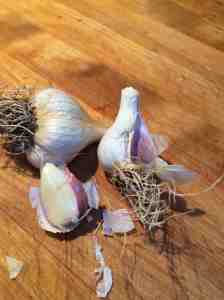 garlic cloves