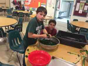 kale salad small pieces