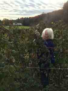 volunteer from the Master Gardener program