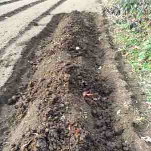 manure prep